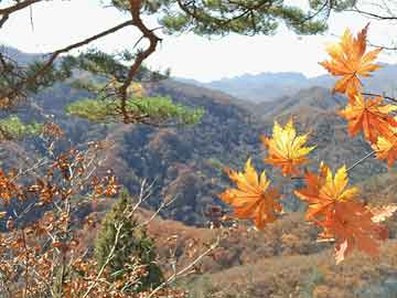最便宜的打胎药的私人微信上海青浦消防第一季度收入1946万元 同比增长17%